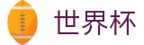 2026FIFA世界杯官方授权网站 · 多端赛事同步观看